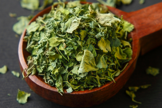 4 Tips To Keep Your Methi Fresh For Longer