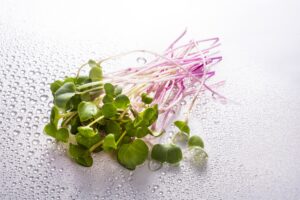 Our table is full of greens! We’ve got the 5 amazing benefits of microgreens that will make you rethink your salad 🥑🍎